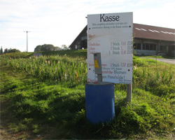 Каса на квітковому полі в Німеччині