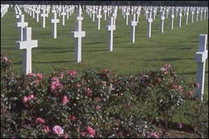 An American Cemetry by Roger Hill.