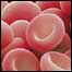 Glóbulos vermelhos