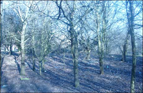 Oakes Road recreation ground