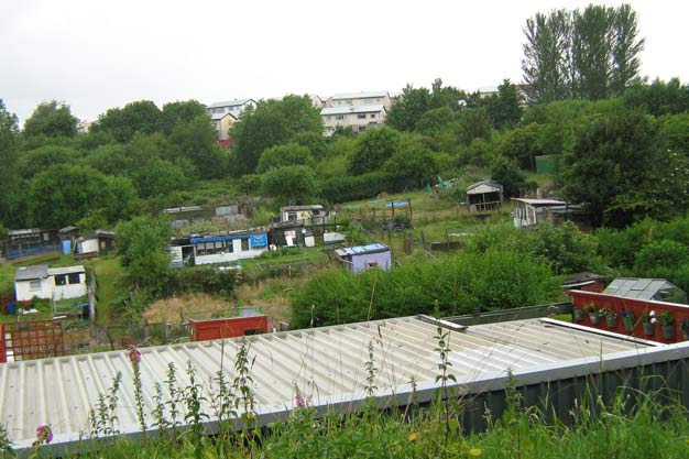 Springburn allotment
