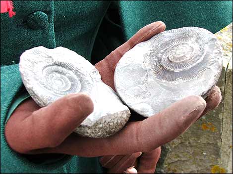 Lyme Regis Fossil Festival