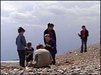 children on beach