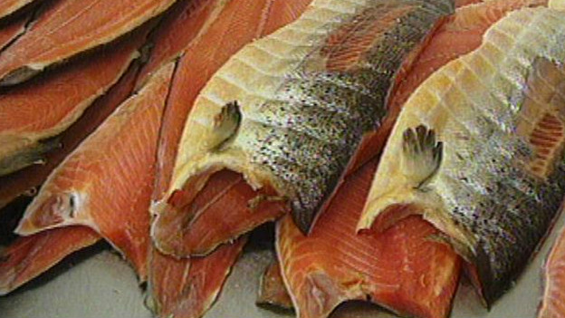 鮭魚