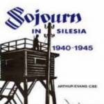 "Sojourn in Silesia", some say the definitive book on Stalag VIIB