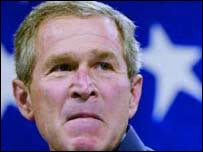 بش پر نظم کا عکس