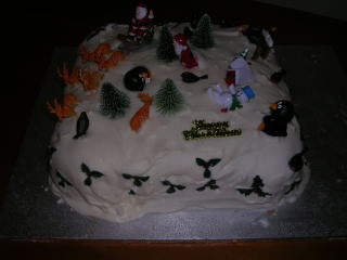 Our Christmas cake - decorated by the boys (and what fun they had!)