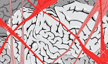 Maze - illustration by Chris Limb