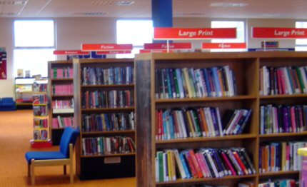 Library Shelves