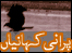 کئی گہرے راز صرف راوی جانتا ہے