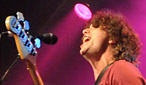 The Zutons