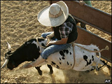 A rodeo cowboy tries to ride a bull