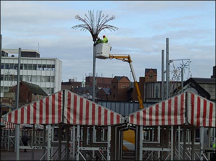 Putting the Christmas lights up