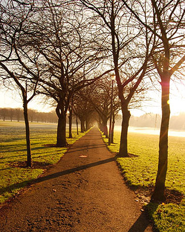Tree-lined walk, Edinburgh