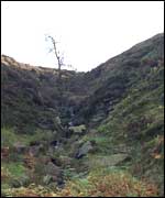 The Bronte waterfall