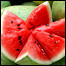 تربوز