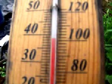 Phew - what a scorcher!