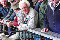 Arwerthiant diweddar