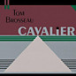 Review of Cavalier