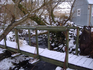 The snow bridge