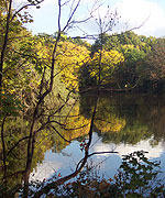 Crystal Palace park in autumn