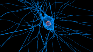 Structure and transmission