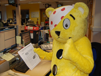 Pudsey checks out the events happening in Cornwall
