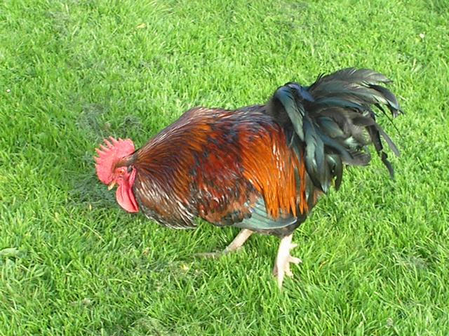 Theres a worm here somewhere