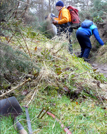 People clearing vegetation beside footpath