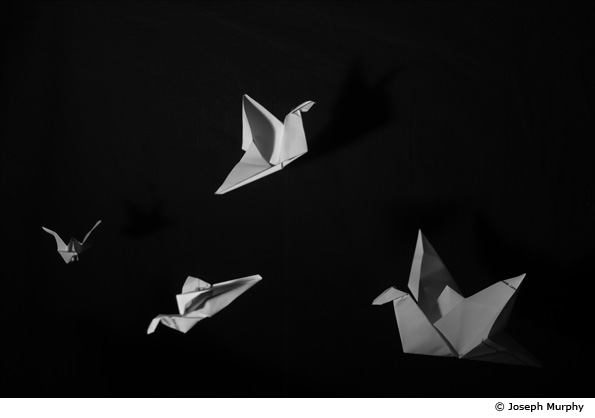 Photo by Joseph Murphy