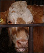 Seriously, not my idea