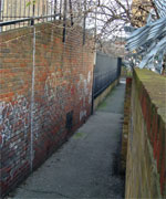 The built environment