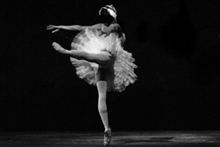 Marguerita Portee Marguerite Porter