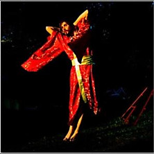 Review of Never Never Love