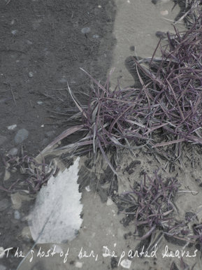 The Ghost Of Her Departed Leaves