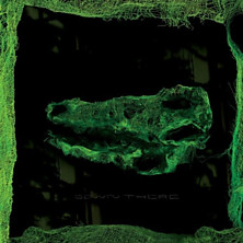 Review of Down There