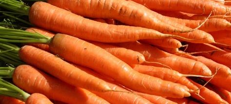 carrot1.jpg