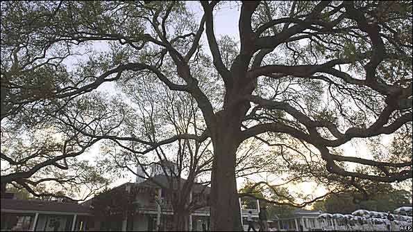 Oaktree, clubhouse, Augusta