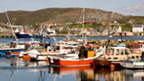 Boats in the harbour at Scalloway, Shetland.