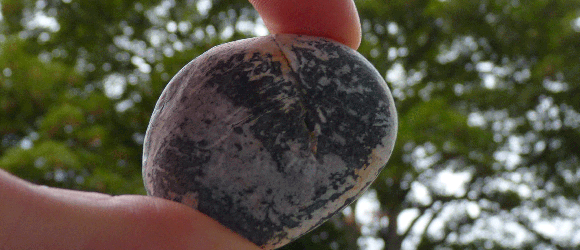 A pebble