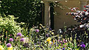 The Bradstone Biodiversity Garden