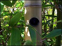 bambu kamera