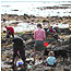 Rockpooling c/o Pamela Tompsett and Helford VMCA/