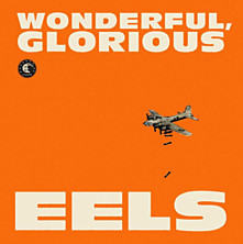 Review of Wonderful, Glorious