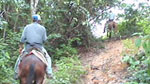 Bruce rides through the jungle on horse for the first time