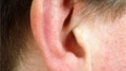 Close-up of an ear