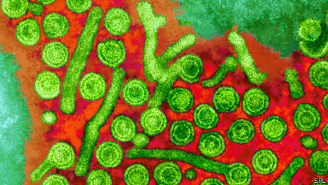 显微镜下的乙型肝炎病毒（资料图片）