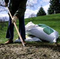 fertilizing the garden