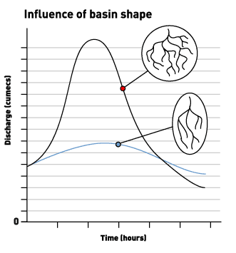 Influence of basin shape