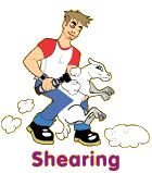 shearing